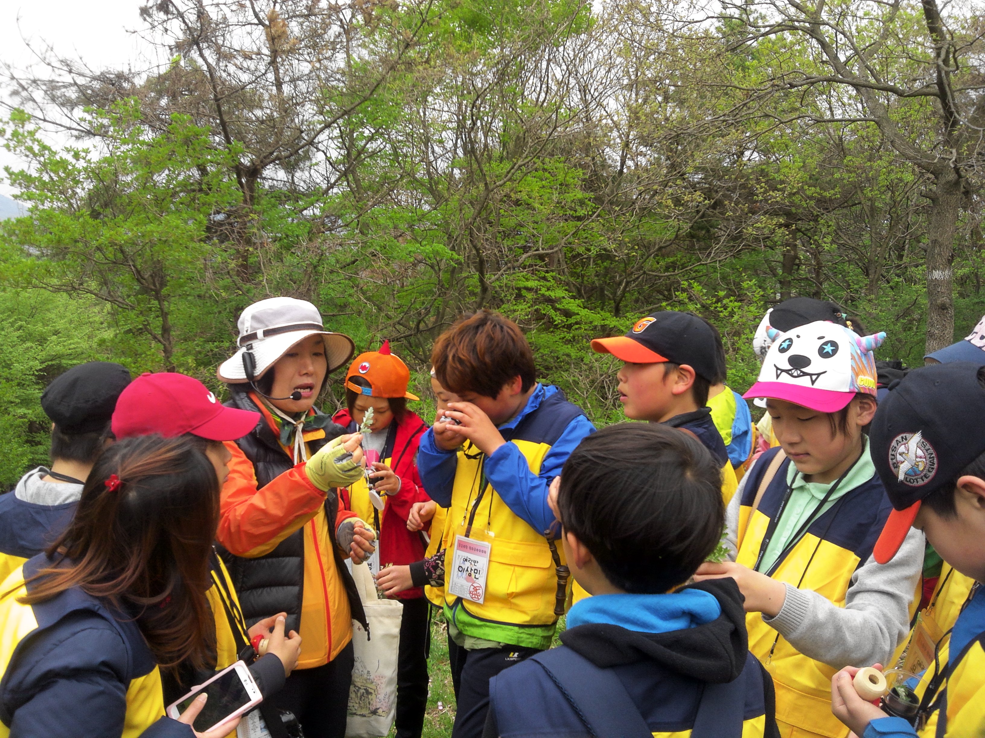 [부산] 달음산 숲체험