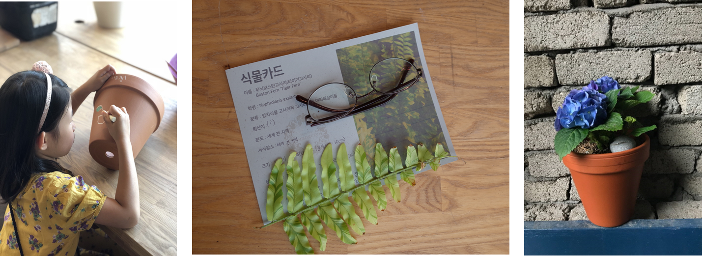 [서울][서울식물원] '여름방학특별' 식물원에서 만나는 과학 교과서 '키즈 가드닝' (초4~6)