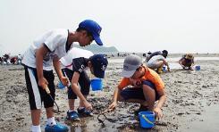 [경기] [선감어촌체험마을] 조개잡이 갯벌체험
