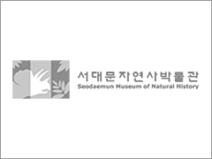 [서울][서대문자연사박물관] <온라인체험교실>곤충학자가 들려주는 곤충이야기