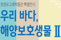 [울산][장생포고래박물관] 2022 특별전 '우리 바다, 해양보호생물 Ⅱ' 개최
